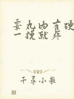 睾丸内有硬疙瘩一摸就疼