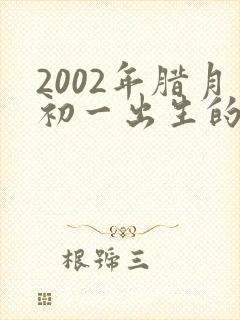2002年腊月初一出生的男孩命运