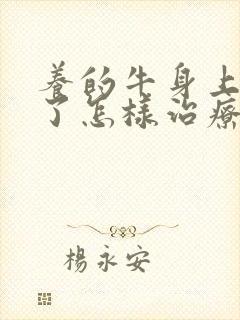 养的牛身上起癣了怎样治疗封面