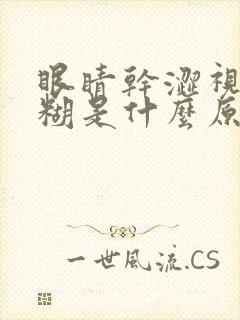 眼睛干涩视力模糊是什么原因造成的用什么药