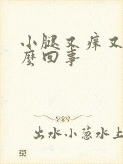 小腿又痒又疼怎么回事