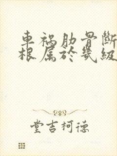 车祸肋骨断了3根属于几级伤残