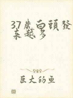 37岁白头发越来越多