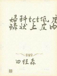 妇科tct低度鳞状上皮内病变