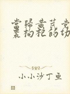 当归黄芪党参红枣枸杞的功效