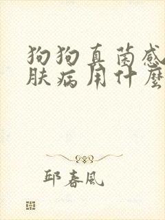 狗狗真菌感染皮肤病用什么药最好封面