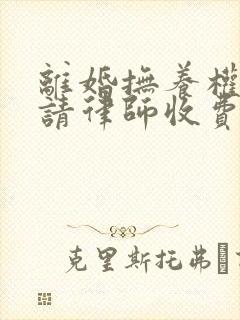 离婚抚养权官司请律师收费封面