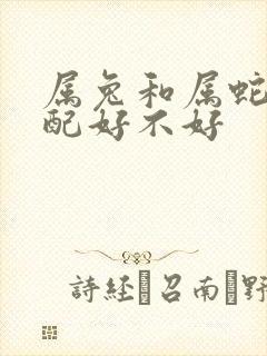属兔和属蛇的婚配好不好