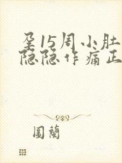 孕15周小肚子隐隐作痛正常吗封面