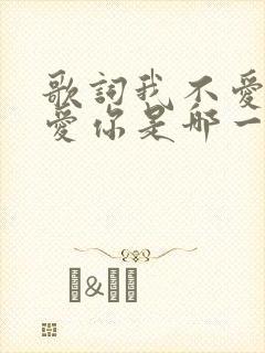 歌词我不爱你谁爱你是哪一首歌封面