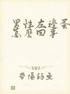 男性左边蛋蛋疼怎么回事