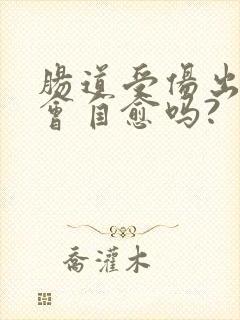 肠道受伤出血 会自愈吗?