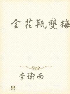 金花瓶双梅花3封面
