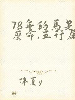 78年的马是什么命,五行属性