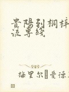 贵阳到桐梓的物流专线