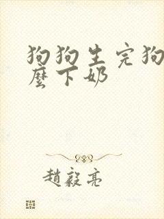 狗狗生完狗吃什么下奶封面
