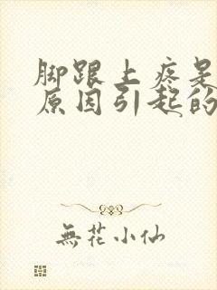 脚跟上疼是什么原因引起的