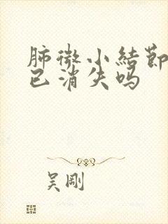 肺微小结节会自已消失吗
