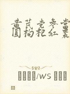 黄芪党参当归桂圆枸杞红枣泡水喝的功效