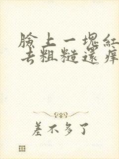 脸上一块红摸上去粗糙还痒脱皮封面