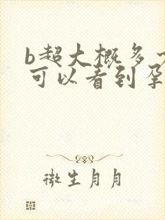 b超大概多少天可以看到孕囊