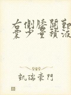 右侧膝关节髌上囊少量积液