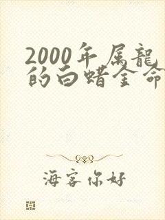 2000年属龙的白蜡金命男