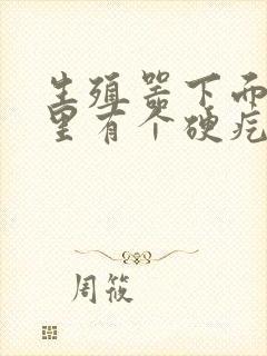 生殖器下面睾丸里有个硬疙瘩
