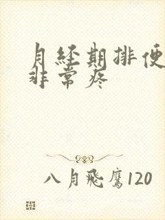 月经期排便肚子非常疼
