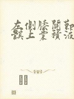 左侧膝关节腔及髌上囊积液