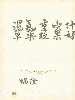 湿气重吃什么中草药效果好