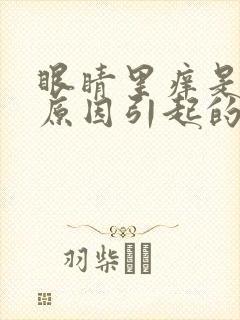 眼睛里痒是什么原因引起的