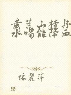 黄芪山楂丹参泡水喝能降血压吗封面