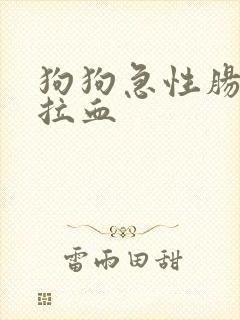 狗狗急性肠胃炎拉血