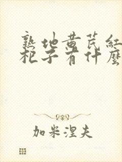 熟地黄芪红枣枸杞子有什么功效?