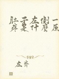 肚子左侧一动就疼是什么原因