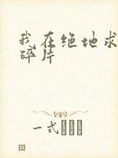 我在绝地求生捡碎片