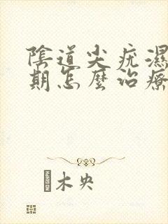 阴道尖疣湿锐早期怎么治疗