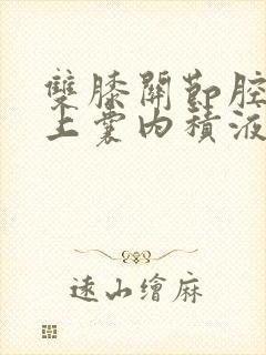双膝关节腔及髌上囊内积液