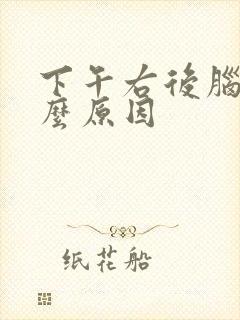 下午右后脑疼什么原因
