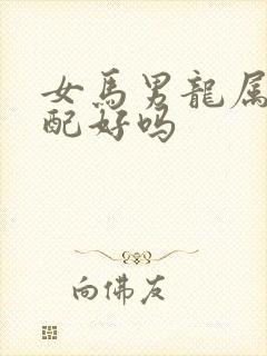 女马男龙属相婚配好吗封面