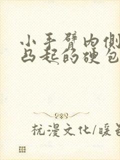 小手臂内侧有个凸起的硬包,手摸它有点疼