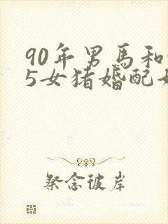 90年男马和95女猪婚配好吗