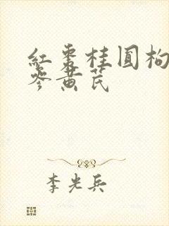 红枣桂圆枸杞党参黄芪