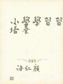 小学学习习惯的培养