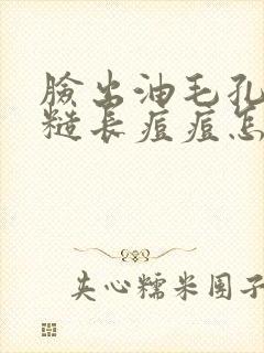 脸出油毛孔大粗糙长痘痘怎么改善封面