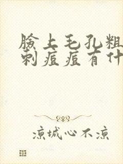 脸上毛孔粗大粉刺痘痘有什么方法可以修复