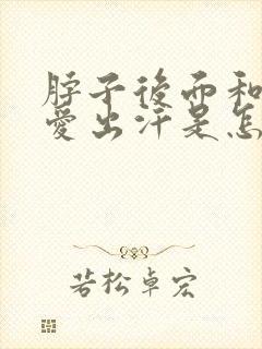 脖子后面和后背爱出汗是怎么回事