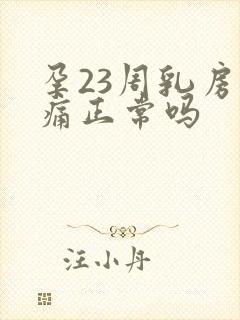孕23周乳房胀痛正常吗