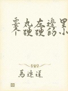 睾丸左边里面有个硬硬的小疙瘩疼